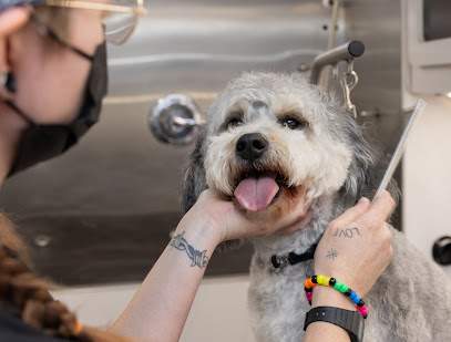 Primped Pooches Mobile Dog Spa