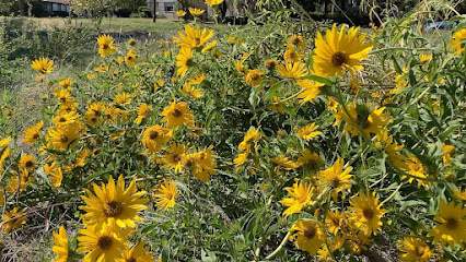 Tenison Park Pollinator Garden