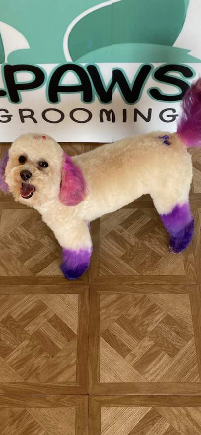 4Paws Grooming