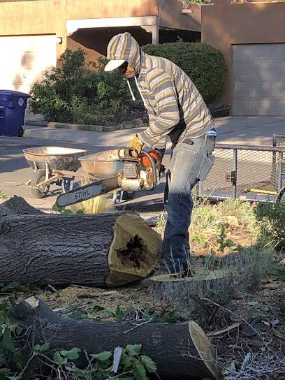 Hector's Tree Care