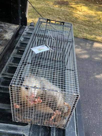 Avalon Pest Control Service